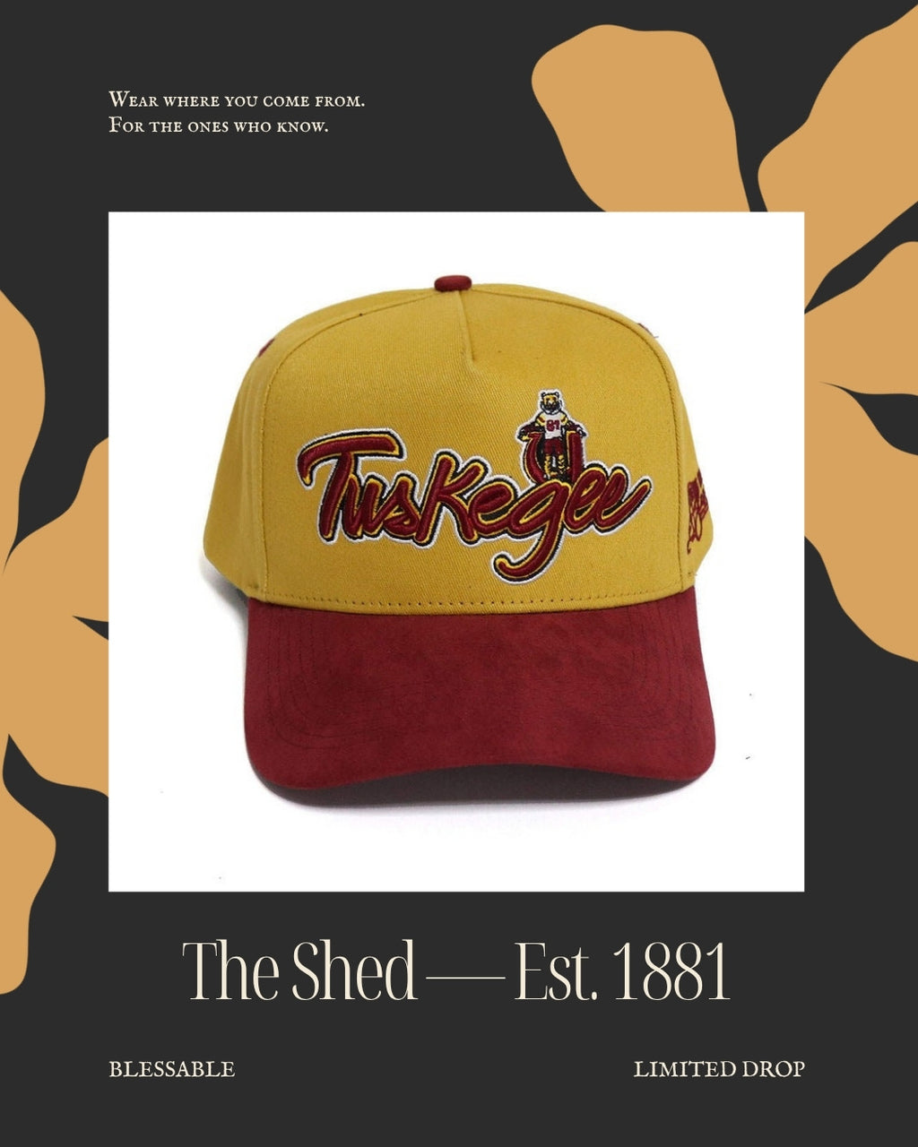 The Shed — editorial product photo