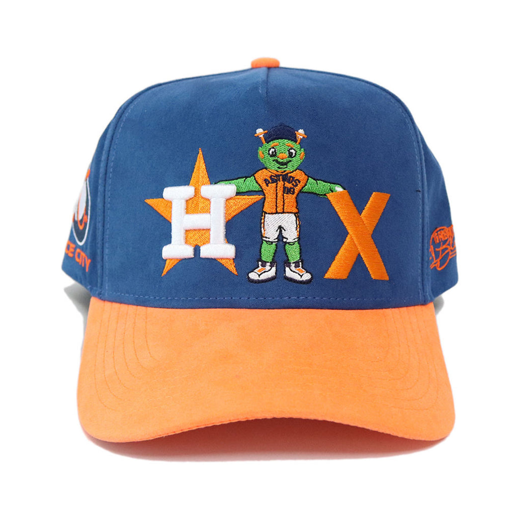 HTX Astros image 0