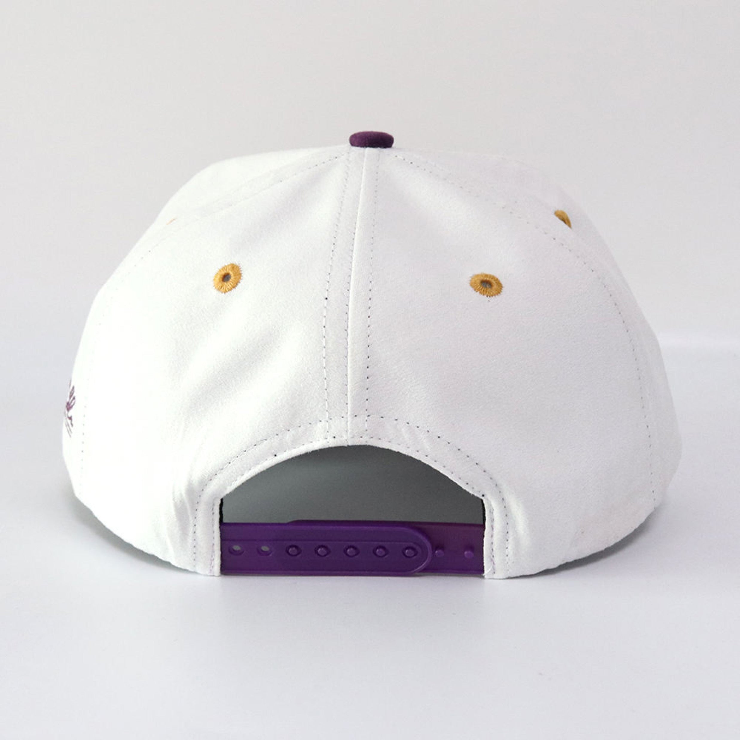 Beta Sigma Chapter of ΩΨΦ image 3